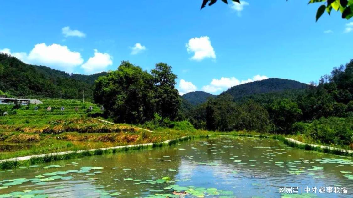 昨日种草推广专属化打造您的营销矩阵:账号批发与笔记推广资源的一站式获取,早餐店汤里死老鼠脚已熬得发白